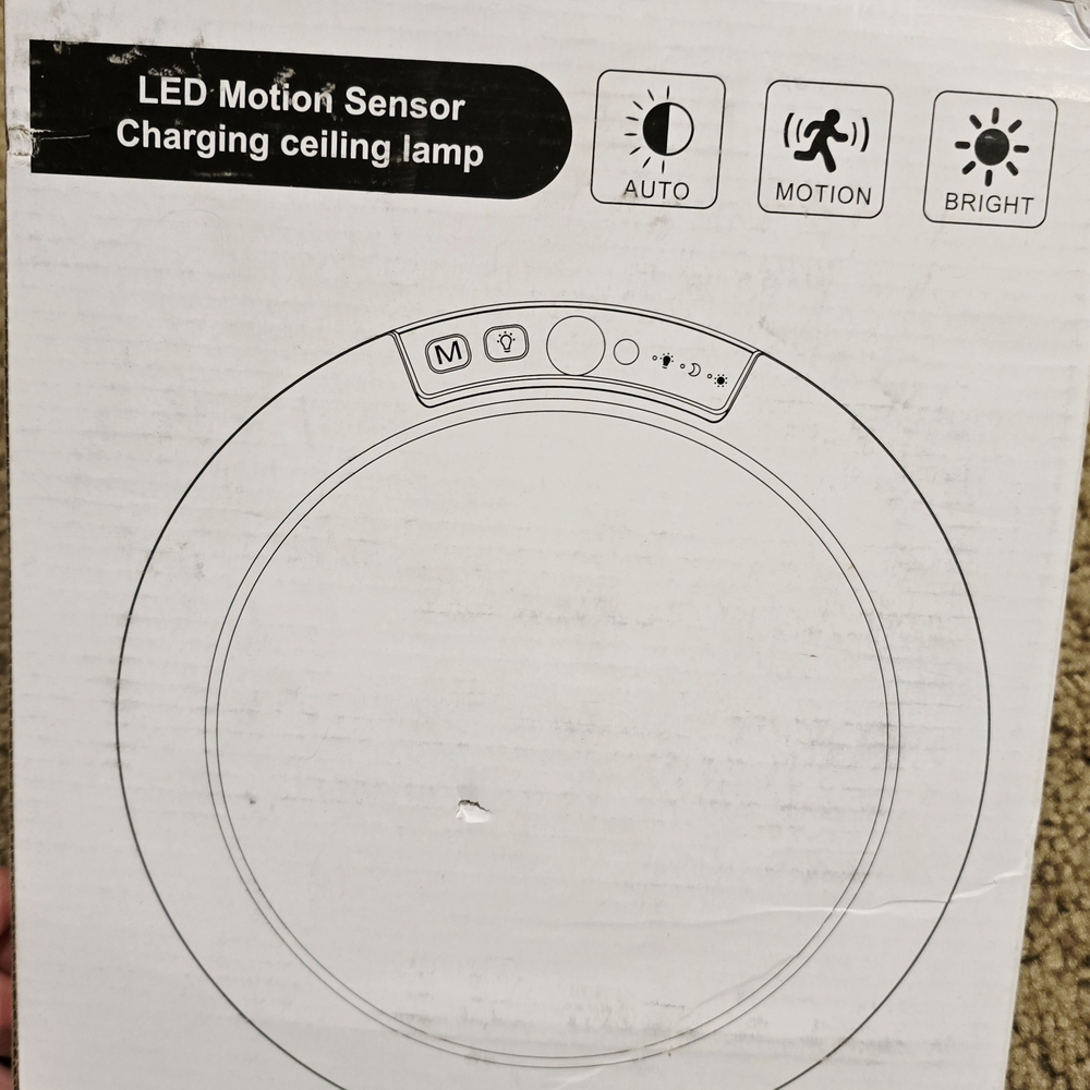 LED Motion Sensor Ceiling Lamp
